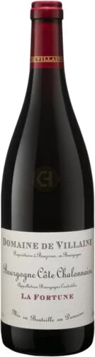 Domaine De Villaine Bourgogne Cote Chalonnaise 'La Fortune'