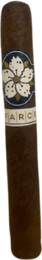 Room 101 Farce Maduro