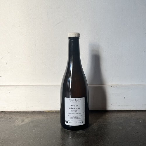 Anders Frederik Steen, Tout Ce Qui est Beau Revient 2020