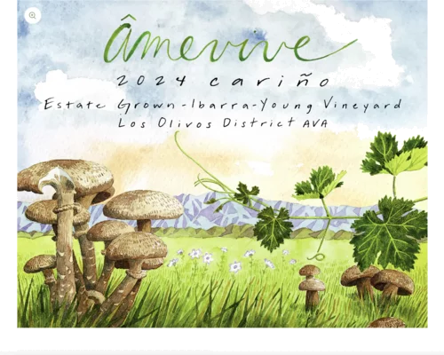 Amevive Wine Carino Ibarra Young Vineyard Los Olivos District 2024