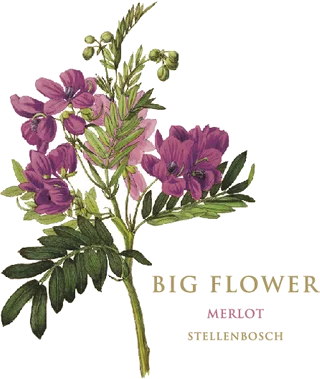 Stellenbosch Botanica Big Flower Merlot