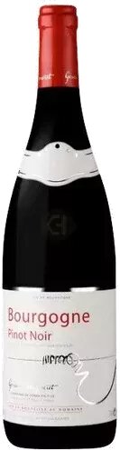 Gerard Mugneret Bourgogne Rouge 2023 (750ml)