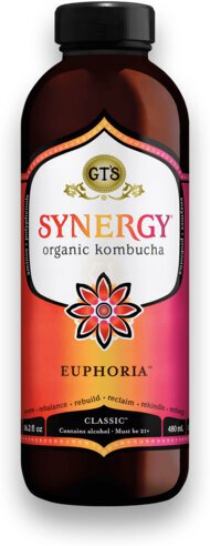Gt's Euphoria Kombucha 16oz Bottle