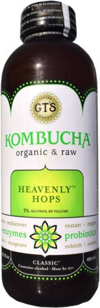 Gt's Heavenly Hops Kombucha 16oz Bottle