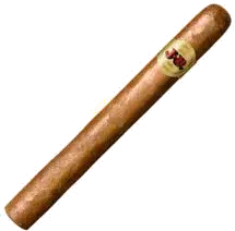 Jr Alternative Ashton Corona