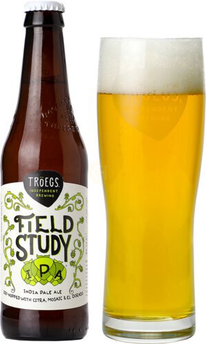 Troegs Leaf Seeker 6pk 12oz Bt