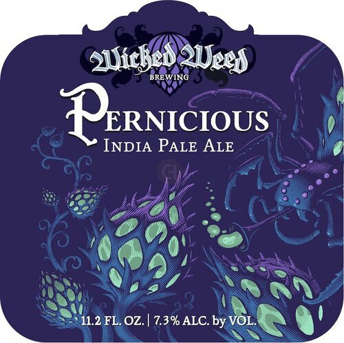 Wicked Weed Pernicious 12oz Cans 6pk