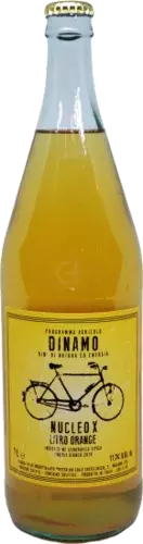 Dinamo Nucleo X Orange