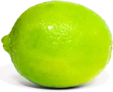 Fresh Lime