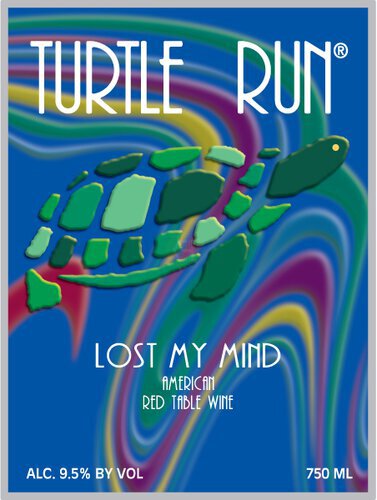 Turtle Run Lost My Mind