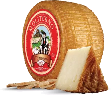 Moliterno Sardinian Sheep