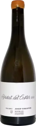 Josep Foraster Conca De Barbera Macabeu Brisat Del Coster
