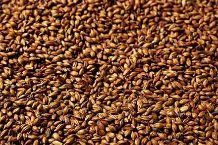 Brown Caramel Malt (Swaen)