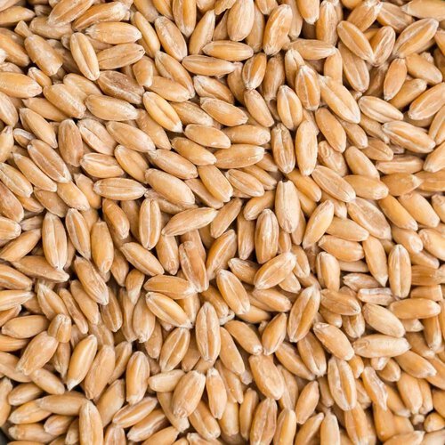 Grn Spelt Malt Swaen