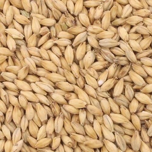 Grn Pilsner Malt Avangard
