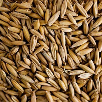Grn Malted Oats Fawcett