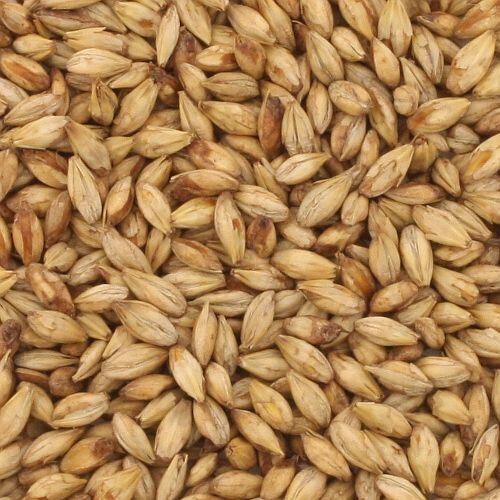 Briess Mesquite Smoked Malt