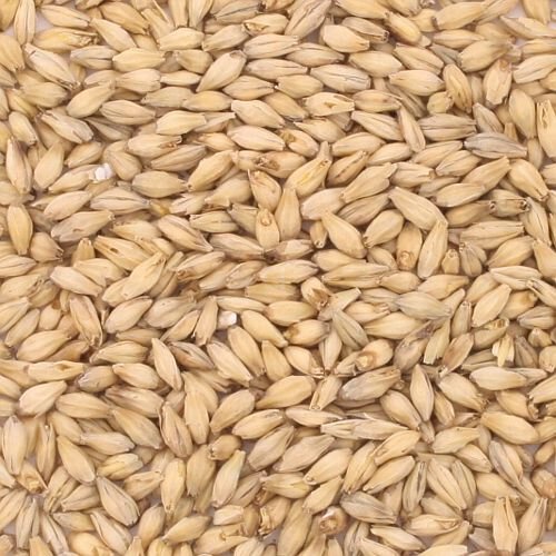 Grn Distiller's Malt Briess