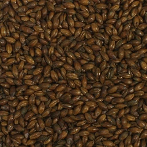 Briess Midnight Wheat