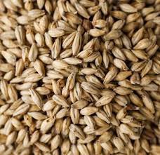 Grn Maris Otter Muntons