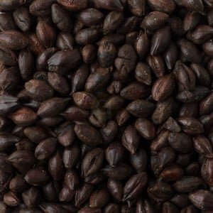 Black Malt (Briess)