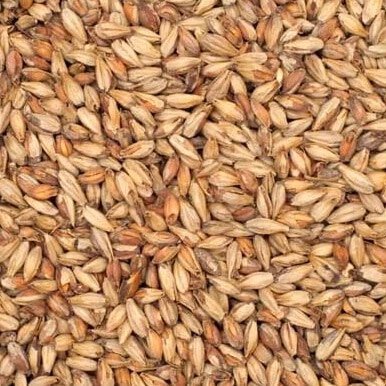 Grn Victory Malt Briess