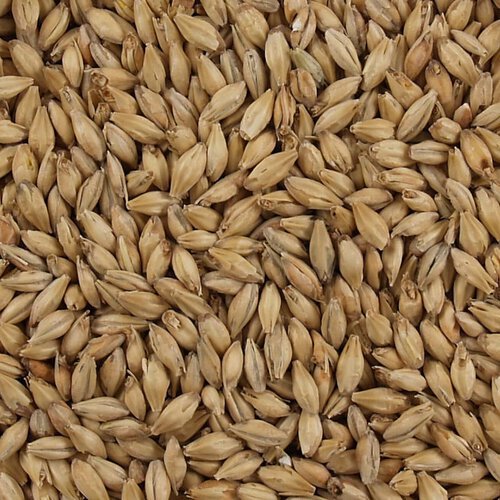 Grn Pale Ale Malt Muntons