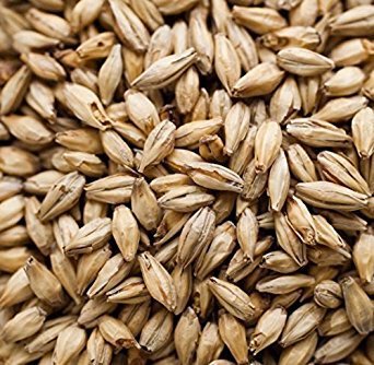 Biscuit Malt (Dingemans)