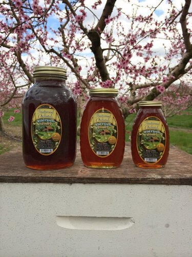 Fo Wildflower Honey 1 Gallon