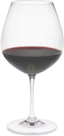 Riedel Vinum Burgundy