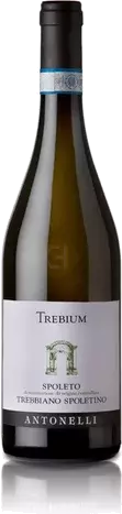 Antonelli 'Trebium' Trebianno