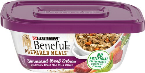 Purina Beneful High Protein, Wet Dog Food With Gravy, Prepared Meals Simmered Beef Entree
