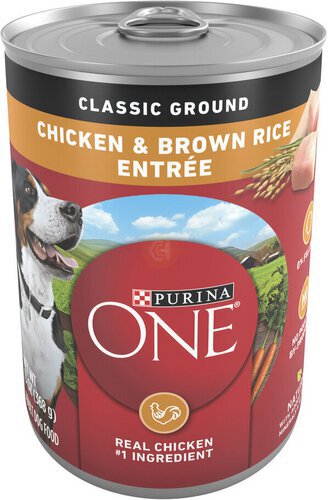 Purina ONE Classic Ground Chicken and Brown Rice Entree Adult Wet Dog Food