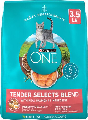 Purina ONE Natural Dry Cat Food, Tender Selects Blend With Real Salmon