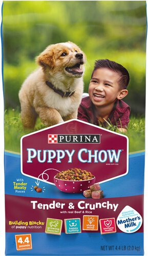 Purina Puppy Chow High Protein Dry Puppy Food, Tender & Crunchy With Real Beef
