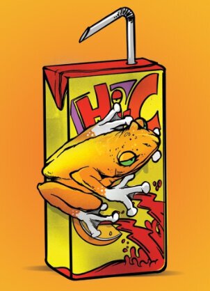 Tripping Animals High Sea Punch 2pk 16oz Can