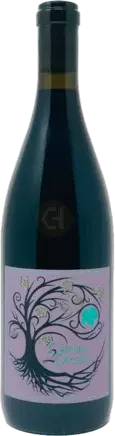 Camins 2 Dreams Red Wine 2021