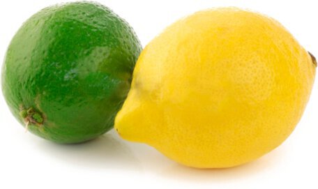 Limes