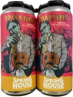 Spring House Braaaiins