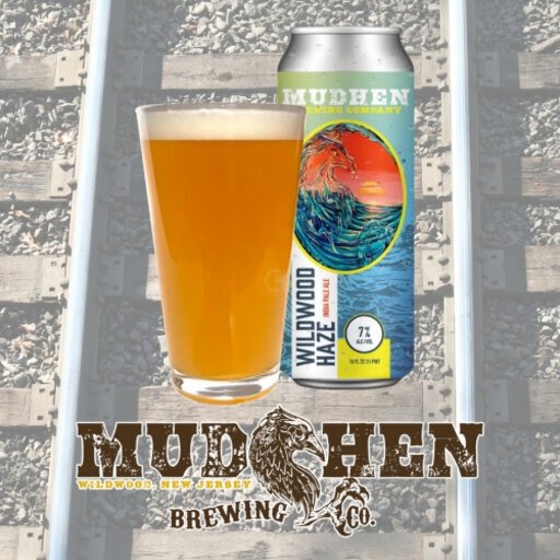 Mudhen MudHen Wildwood Haze IPA 12OZ - Joe Canal's Discount Liquor Rio Grande ...
