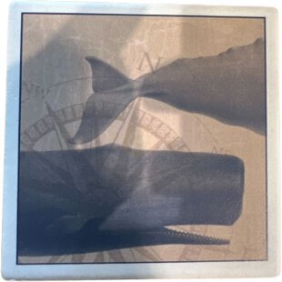 Paint The Town Whale Coaster