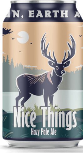 Central Waters Nice Things Hazy Pale Ale