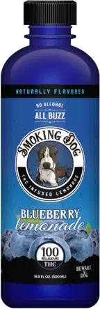 Smoking Dog Fruit Punch 100mg Thc
