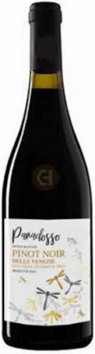 Paradosso Pinot Noir