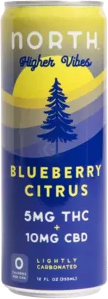 North Highter Vibes Blueberry Thc 5mg Cbd 10mg