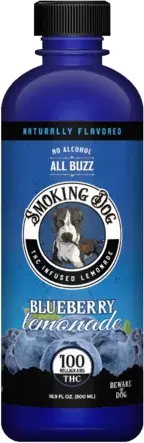 Smoking Dog Blueberry Lemonade 100mg