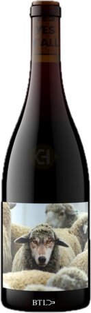 Maison Noir Wines Pinot Noir In Sheep's Clothing Us Oregon