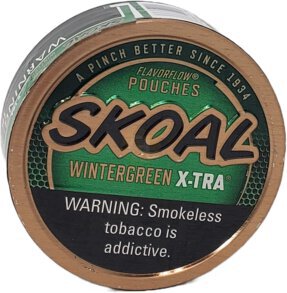 Skoal X Tra Pouches Wintergreen