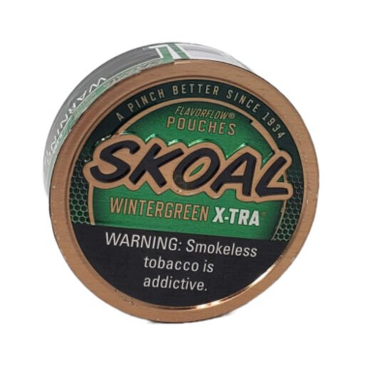 Skoal Xtra Wintergreen Pouches - Beer, Homebrew Supplies & Party