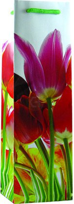 GIFT BAG TULIPS